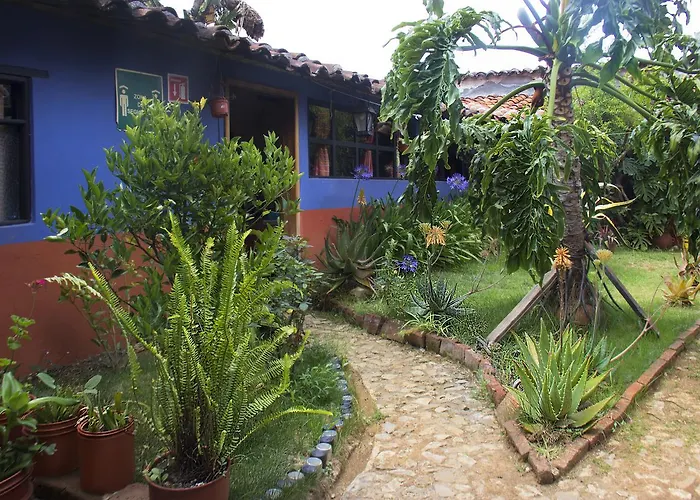 Hostal El Rincón de los Camellos San Cristóbal de Las Casas